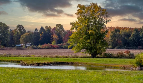 농장과 연못이 — 스톡 사진