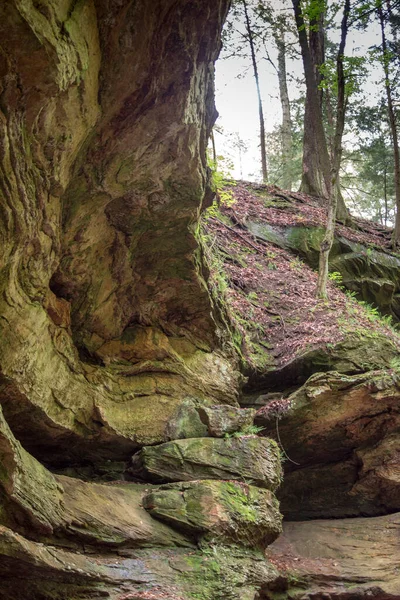 Deep Ravines Limestone Cliffs Turkey Run State Park Mitchel Indiana — Stock Photo, Image