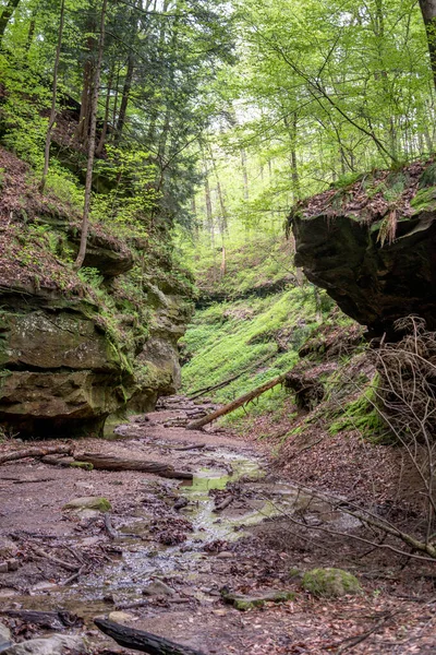 Muddy Hiking Trails Turkey Run State Park Can Get Little — Stock Photo, Image