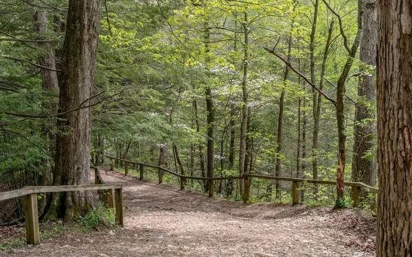 Scenic Springtime Hiking Trails Indiana State Park — Stock Photo, Image