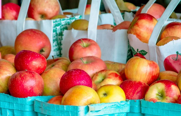 Bolsas Manzanas Michigan Están Listas Para Comprar Puesto Frutas —  Fotos de Stock