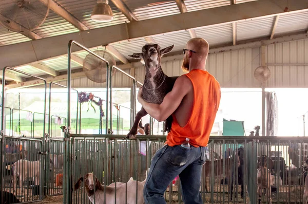 アメリカのサウスベンド2021年7月10日フェアサウスベンド郡フェアで納屋を通って頑固なヤギを運ぶ — ストック写真