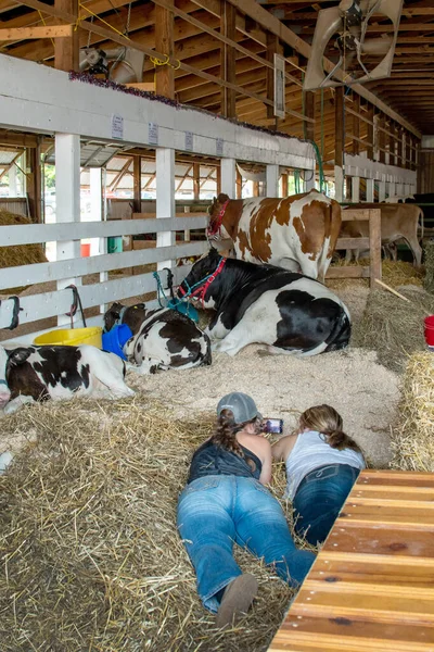 米国のサウスベンド7月10 2021 彼らは郡のフェアで牛とわらに横たわっているように二人の十代の若者は 彼らの携帯電話でリラックス — ストック写真