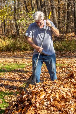 Yakışıklı yaşlı bir adam Michigan 'da kıpır kıpır bir sonbahar günü ayrılıyor.