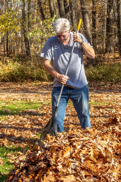 Handsome Older Man Rakes Leaves Crisp Fall Day Michigan Usa — Stock Photo, Image