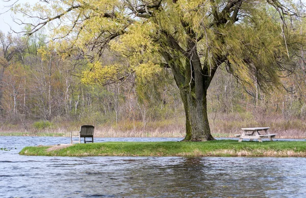 Una Panca Legno Parco Vecchio Tavolo Picnic Legno Sedersi Sotto — Foto Stock