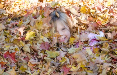 Adorable girl hiding in a pile of fall leaves clipart