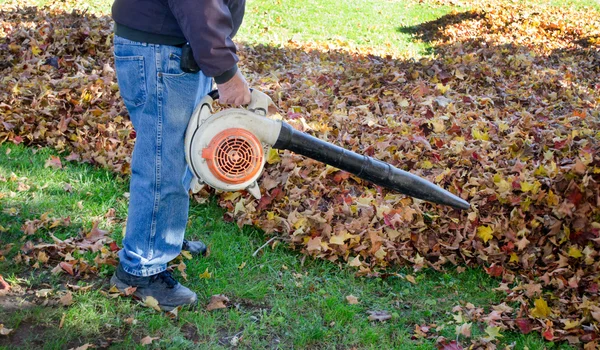 Trabajador con soplador de hojas — Foto de Stock