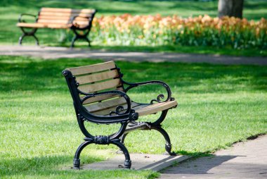 Ahşap park banklar bahar