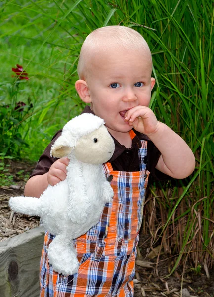 Toddler boy and toy lamb — Stock Photo, Image