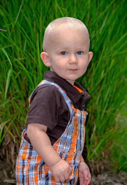 Portrait of an adorable blond toddler  in a green garden — Stock Photo, Image