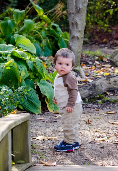 公園にいる小さな男の子 — ストック写真