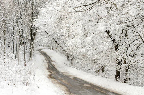 Neve coberta estrada indiana — Fotografia de Stock