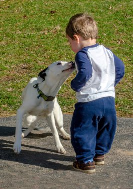 Onun köpek seven yürümeye başlayan çocuk