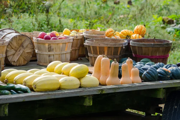 Fresh fall produce in Indiana — Stok fotoğraf
