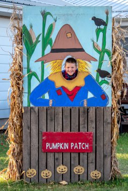 Genç çocuk yerel balkabağı tarlasında kesilen korkulukta mutlu bir şekilde poz veriyor.