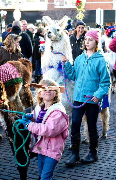 Desfile de mascotas en Michigan —  Fotos de Stock
