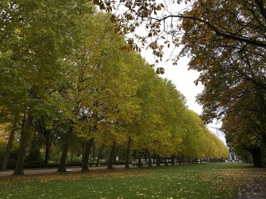 Fotoğraf 22 Ekim 2020 'de Brüksel, Belçika' daki Cinquantenaire parkındaki sonbahar manzarasını gösteriyor.