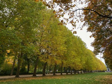 Fotoğraf 22 Ekim 2020 'de Brüksel, Belçika' daki Cinquantenaire parkındaki sonbahar manzarasını gösteriyor.
