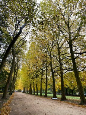 Fotoğraf 22 Ekim 2020 'de Brüksel, Belçika' daki Cinquantenaire parkındaki sonbahar manzarasını gösteriyor.