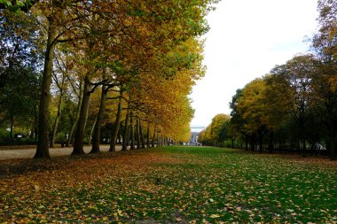 Fotoğraf, 26 Ekim 2020 'de Brüksel, Belçika' daki Cinquantenaire parkındaki sonbahar manzarasını gösteriyor.