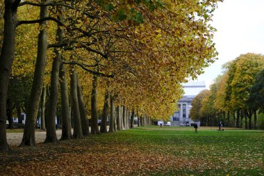 Fotoğraf, 26 Ekim 2020 'de Brüksel, Belçika' daki Cinquantenaire parkındaki sonbahar manzarasını gösteriyor.