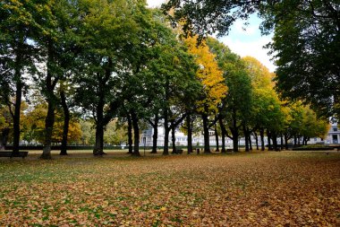 Fotoğraf, 26 Ekim 2020 'de Brüksel, Belçika' daki Cinquantenaire parkındaki sonbahar manzarasını gösteriyor.