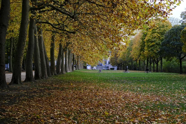 Foto Muestra Paisaje Otoño Parque Cinquantenaire Bruselas Bélgica Octubre 2020 —  Fotos de Stock