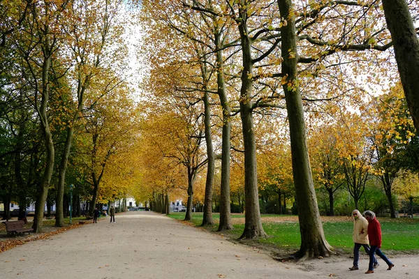 Φωτογραφία Φθινοπωρινό Τοπίο Στο Πάρκο Cinquantenaire Στις Βρυξέλλες Βέλγιο Οκτωβρίου — Φωτογραφία Αρχείου
