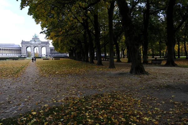 Foto Mostra Cenário Outono Parque Cinquantenaire Bruxelas Bélgica Outubro 2020 — Fotografia de Stock