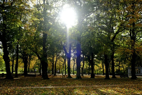 Φωτογραφία Δείχνει Φθινοπωρινό Τοπίο Στο Πάρκο Cinquantenaire Στις Βρυξέλλες Βέλγιο — Φωτογραφία Αρχείου