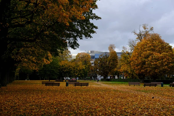 Foto Muestra Paisaje Otoño Parque Cinquantenaire Bruselas Bélgica Octubre 2020 — Foto de Stock