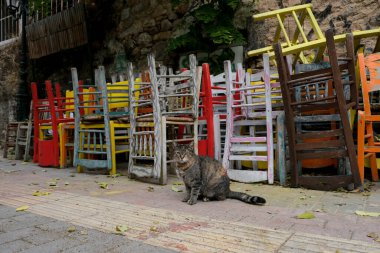 3 Kasım 2020 'de Atina, Yunanistan' da Covid-19 salgınının yayılmasına karşı alınan yeni kısıtlayıcı tedbirlerin uygulanmasının ilk günü boyunca kapalı bir restoranın dış görünüşü.