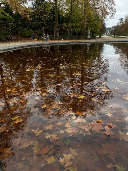 Folhas Outono Caindo Cores Diferentes Que Põem Parcialmente Superfície Lagoa — Fotografia de Stock
