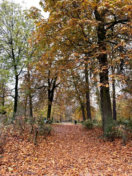 Foto Zeigt Herbstlandschaft Park Brüssel Belgien — Stockfoto