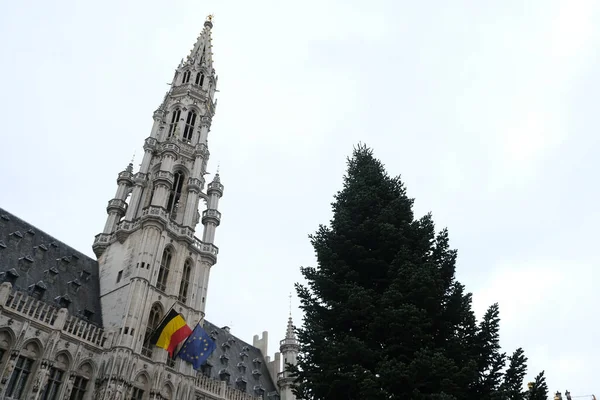 Uma Árvore Natal Praça Grand Place Centro Histórico Bruxelas Bruxelas — Fotografia de Stock