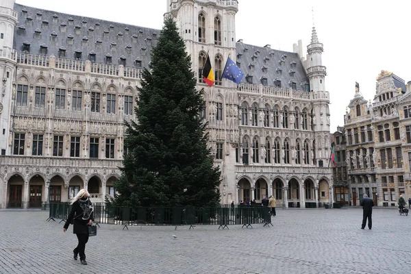 2020年11月19日 比利时布鲁塞尔历史城区大广场上的一棵圣诞树 — 图库照片