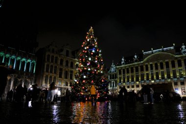 Belçika 'nın Brüksel kentindeki Grand Place meydanında 22 Kasım 2020' de bir Noel ağacı..
