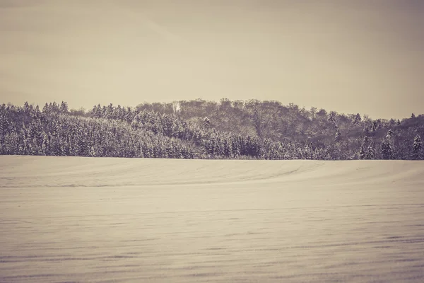 Винтажная зимняя страна чудес . — стоковое фото