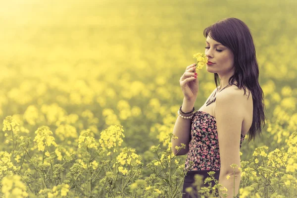 Beautiful woman in meadow of yellow flowers loves sniffing flowe — Stock Photo, Image