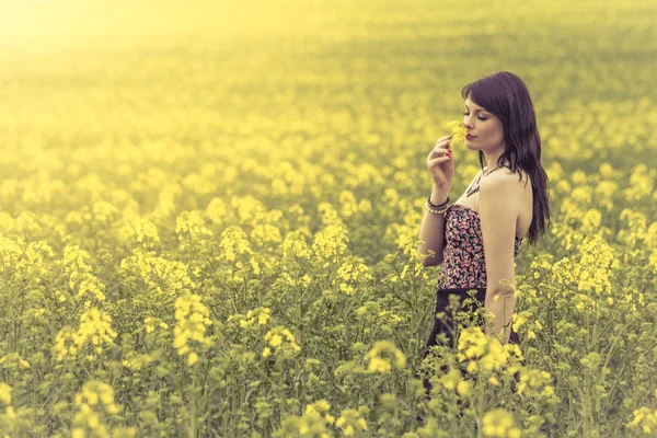 Beautiful woman in meadow of yellow flowers enjoying sniffing fl — Stock Photo, Image