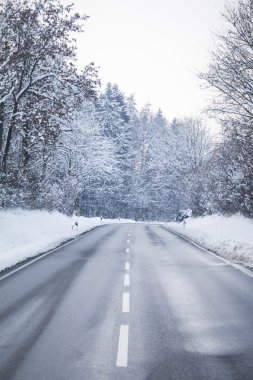 Orman ağaçları soğuk kış yol harika beyaz kar ile kaplı