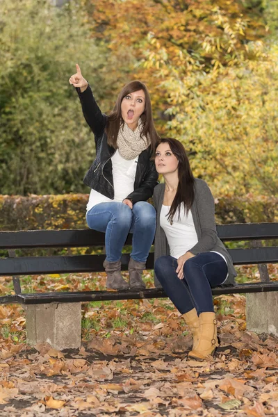 Duas mulheres de estilo de vida bonito em um banco no outono colorido — Fotografia de Stock