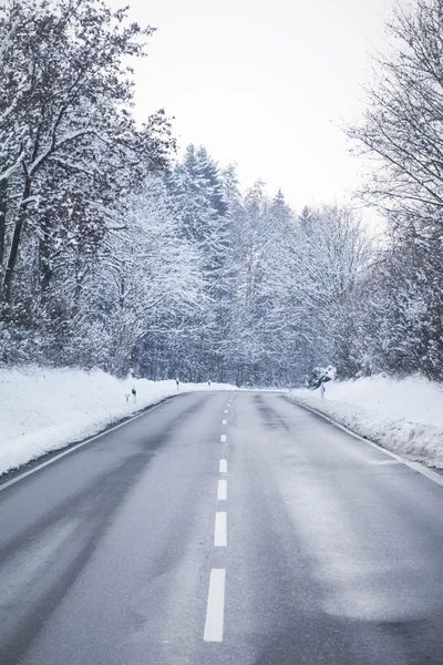 Hideg téli road, csodálatos fehér hóval borított erdei fák — Stock Fotó