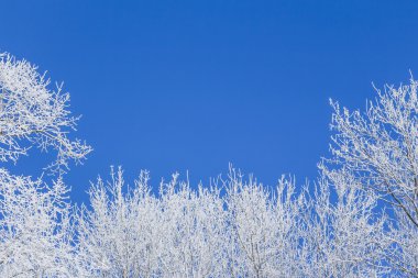 Soldan sağa altında ağaçlar mavi kış çerçeve kar ile kaplı