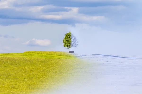 İklim değişikliği yaz kış vakti bir yıl içinde