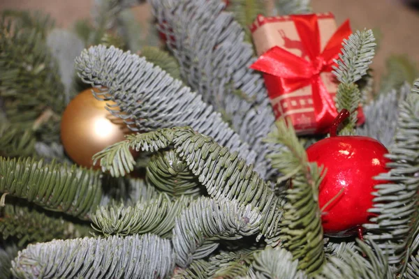 Cartão Ano Novo Decorações Natal Vermelho Ouro Nos Ramos Abeto — Fotografia de Stock