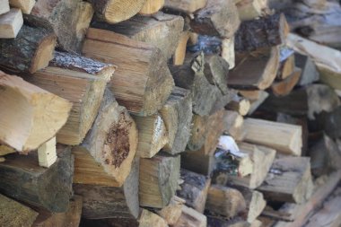 Tahta kütükler, kirişler, yakacak odun, çerçeve. Ahşap ahşap arka plan. Yakıt. Kış için odun topluyorum..