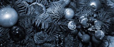 Noel süsleri kırmızı ve köknar dallarında altın. Noel ve Yeni Yıl geçmişi.