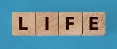 Ahşap küp, arka planda yaşam yazısını parçalıyor. Güvenli bir hayat. Yaşamın korunması.